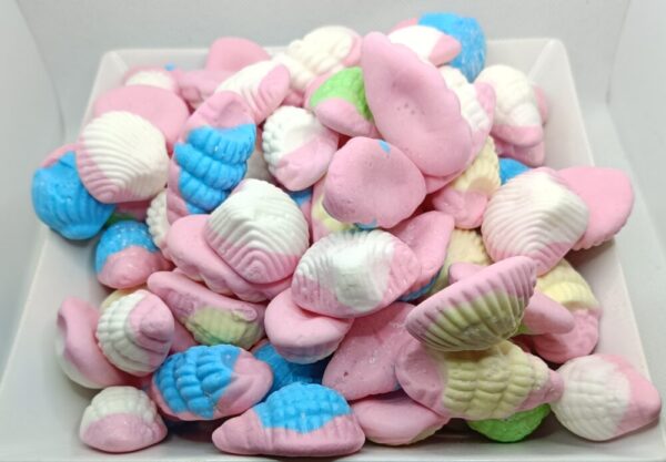 VIDAL CARACOLAS FOAM